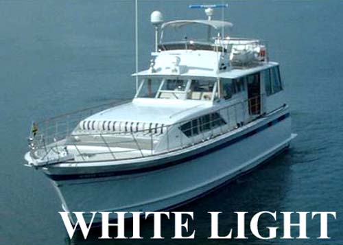 aa whitelight1