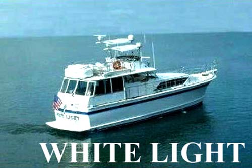 aa whitelight2