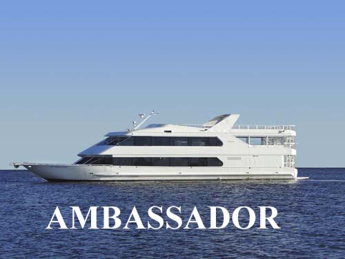 b ambassador