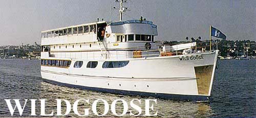 wildgoose1